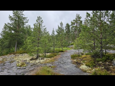 20250703_123215 - Kopie.jpg